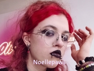 Noellepaws