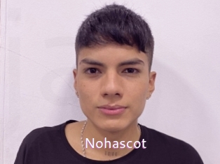 nohascot Just Amateurs