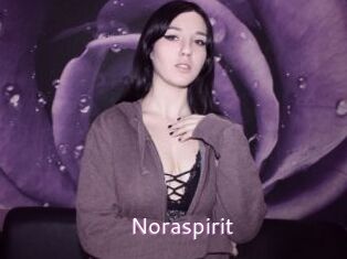 Noraspirit