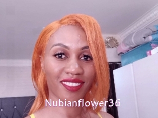 Nubianflower36