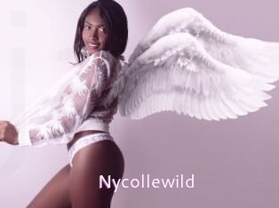 Nycollewild