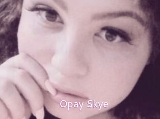 Opay_Skye