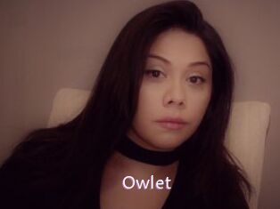 _Owlet_