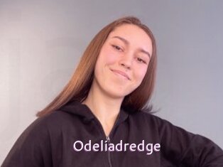 Odeliadredge