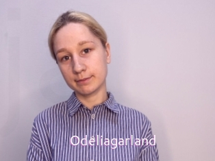 Odeliagarland