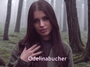 Odelinabucher