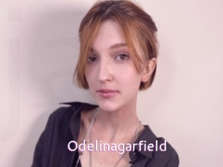 Odelinagarfield