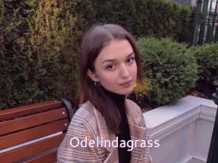 Odelindagrass