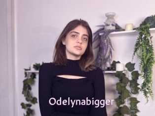 Odelynabigger
