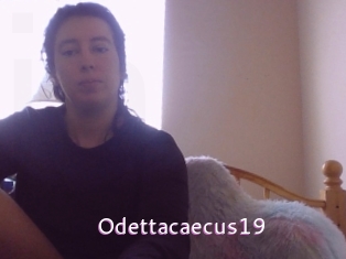 Odettacaecus19