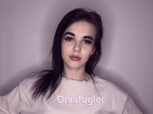 Orvafugler