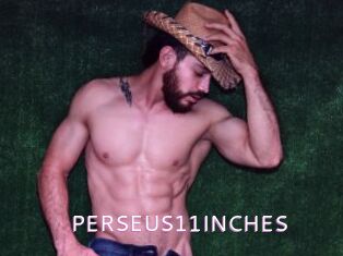 PERSEUS11INCHES