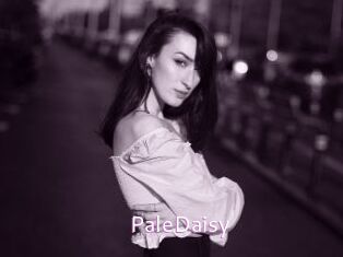 PaleDaisy