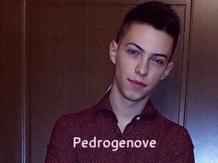 Pedrogenove