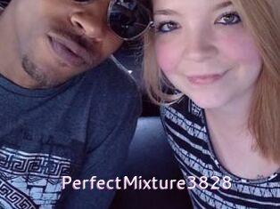 PerfectMixture3828