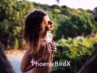 PhoenixBirdX