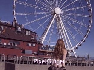 PixelGinger
