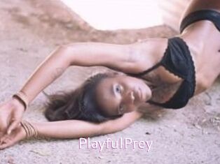 PlayfulPrey
