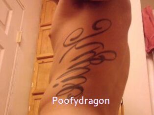 Poofydragon