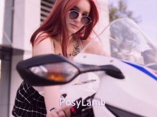 PosyLamb Just Amateurs