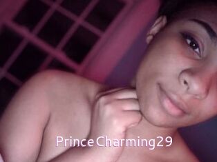 PrinceCharming29