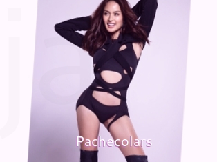 Pachecolars