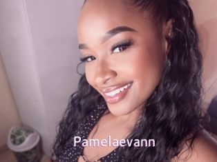 Pamelaevann