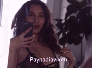 Paynadiavixen