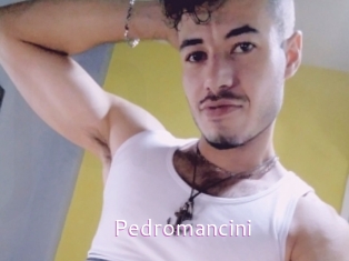 Pedromancini