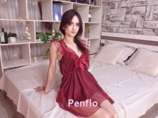 Penflo