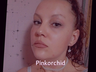 Pinkorchid