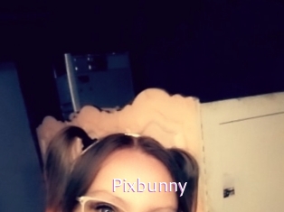 Pixbunny