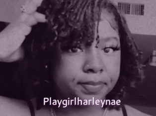 Playgirlharleynae