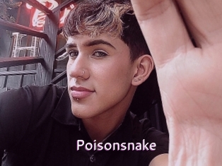 Poisonsnake