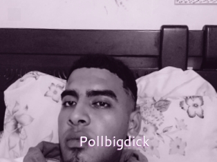 Pollbigdick