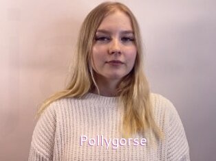 Pollygorse