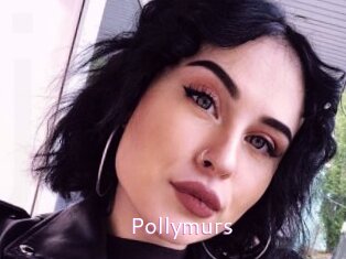 Pollymurs