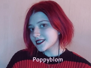 Poppyblom