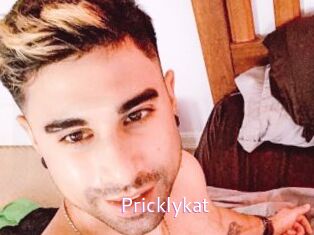 Pricklykat