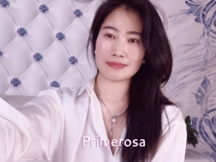 primerosa Just Amateurs