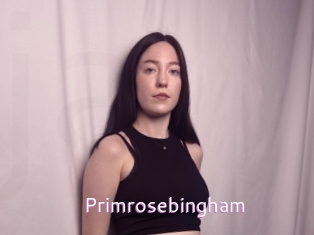 Primrosebingham