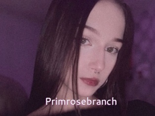 Primrosebranch
