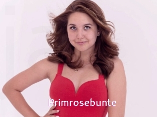 Primrosebunte
