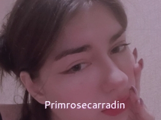 Primrosecarradin