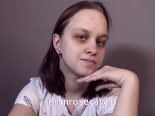 Primrosecarvin