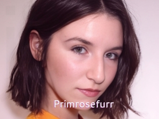 Primrosefurr
