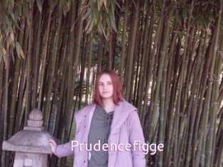 Prudencefigge