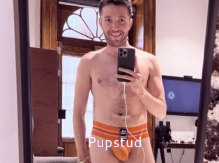 Pupstud