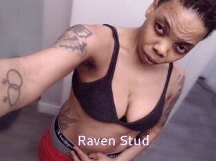 Raven_Stud