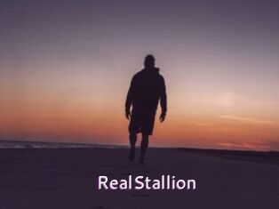 RealStallion